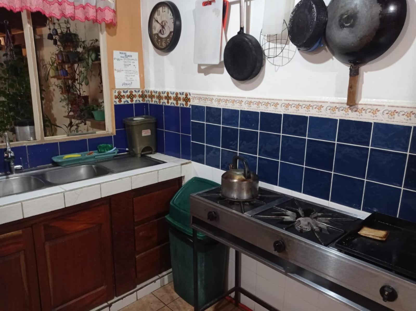Hostel Casa Ridgway サンホセ エクステリア 写真