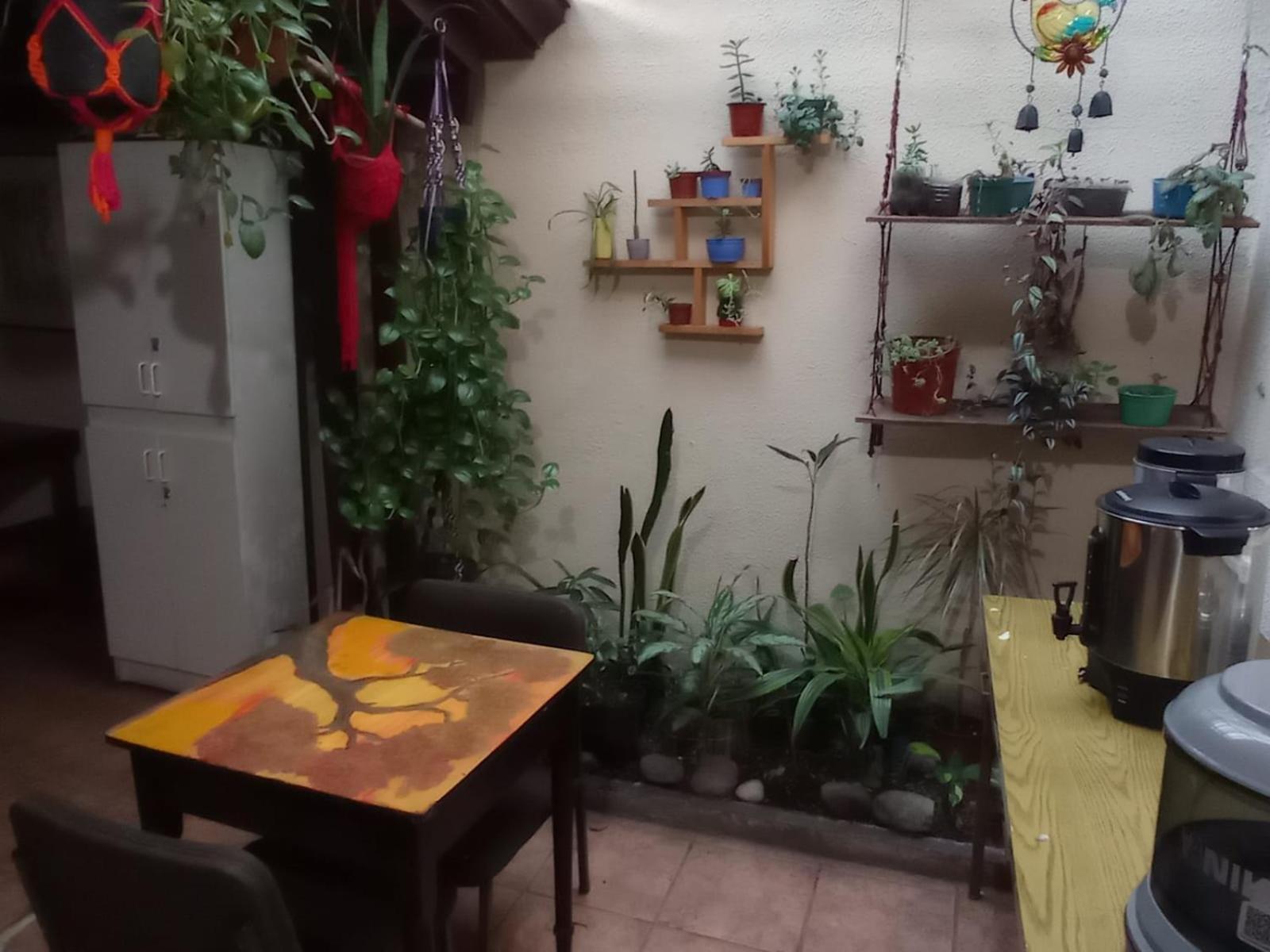 Hostel Casa Ridgway サンホセ エクステリア 写真