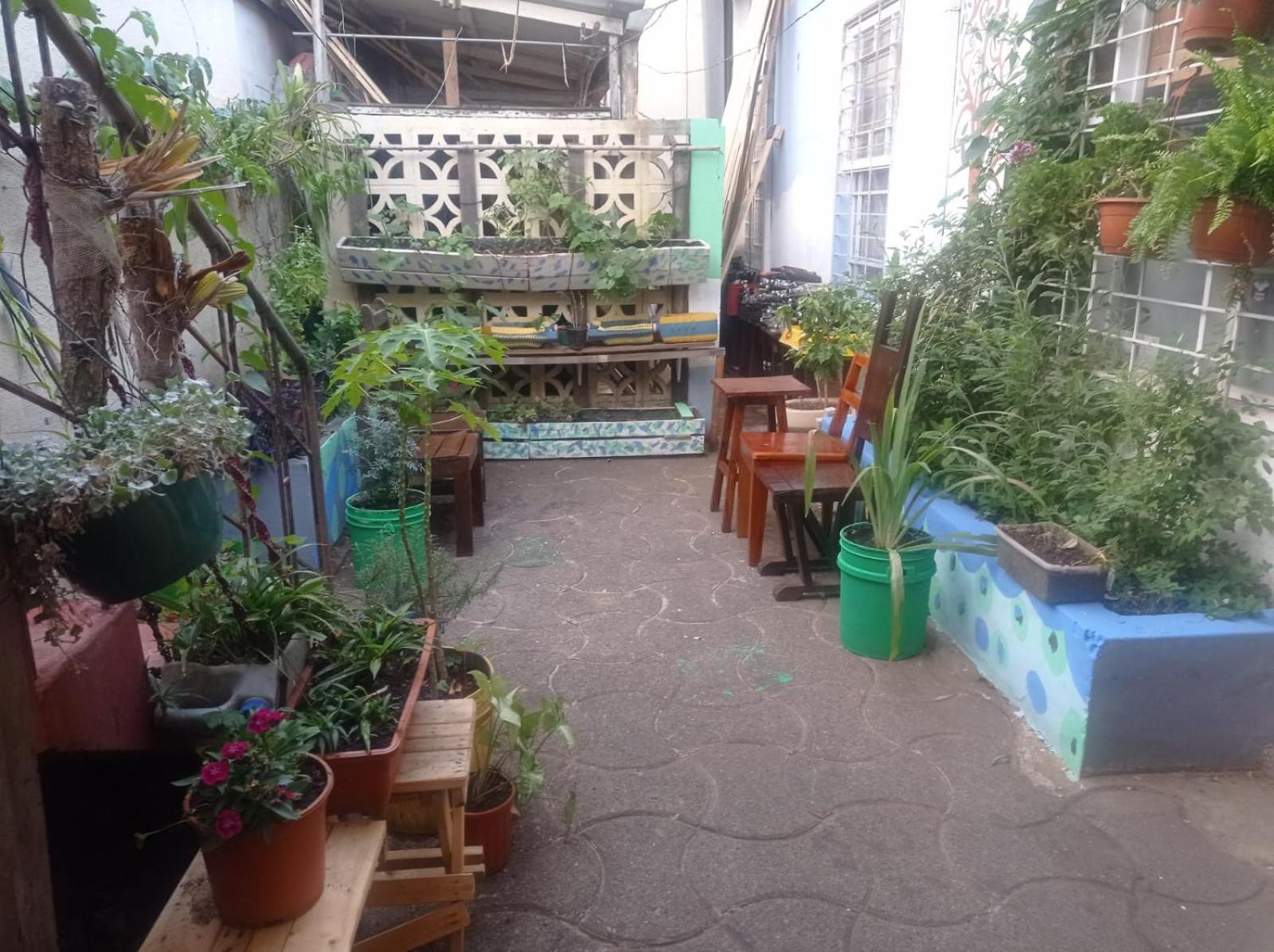 Hostel Casa Ridgway サンホセ エクステリア 写真