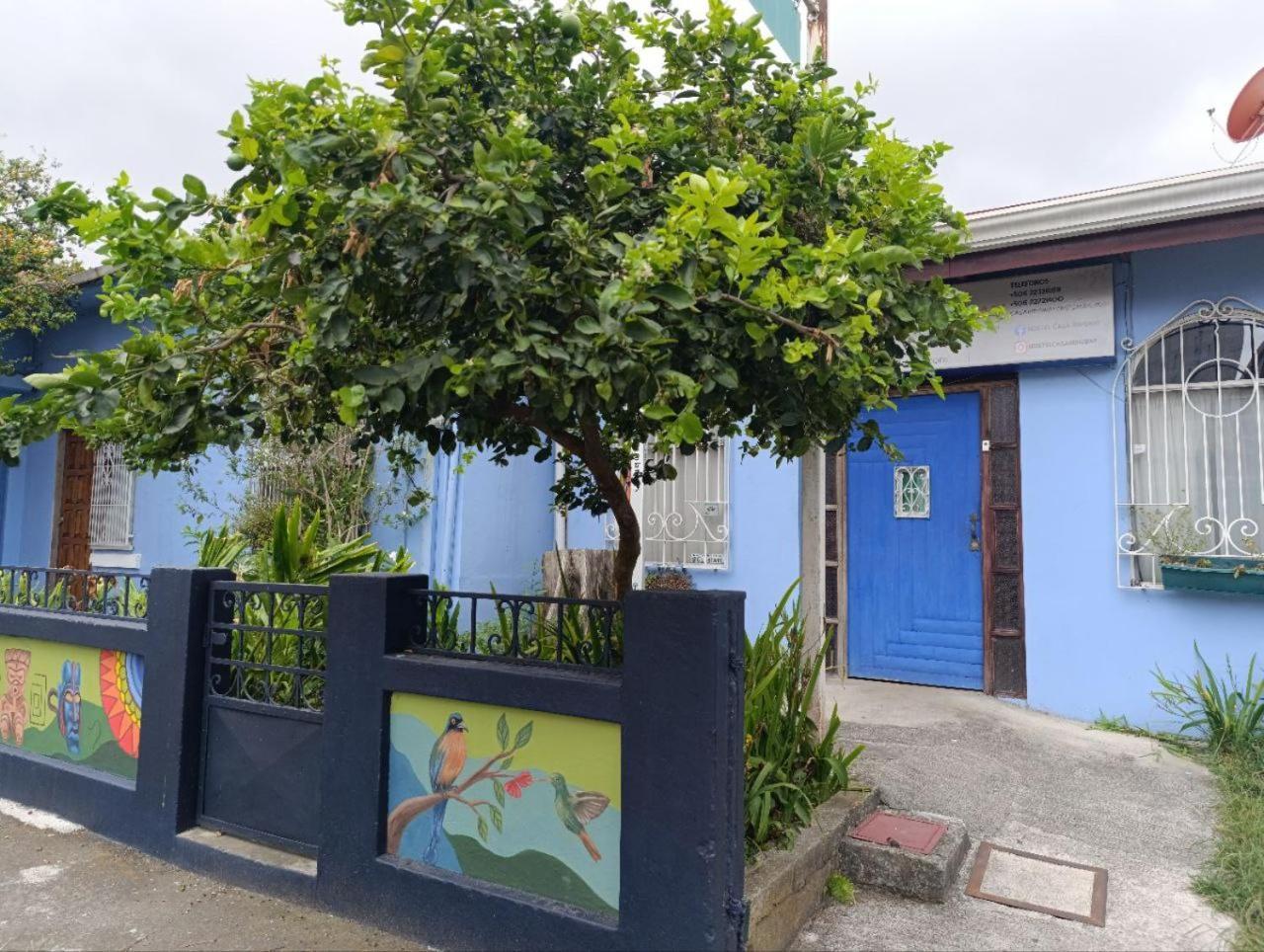 Hostel Casa Ridgway サンホセ エクステリア 写真